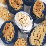 Sea Sponge Soap